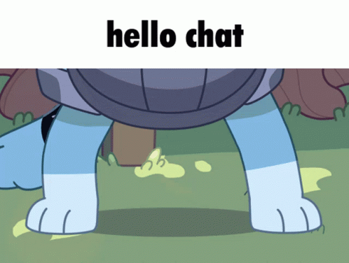 Hello Chat Hello Chat Gif GIF - Hello Chat Hello Chat Gif Hello Chat Meme GIFs