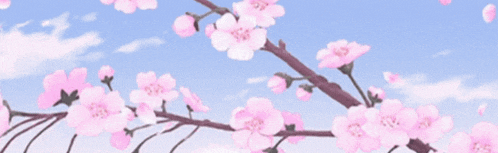 a cherry blossom tree with the words zenith sims written on it