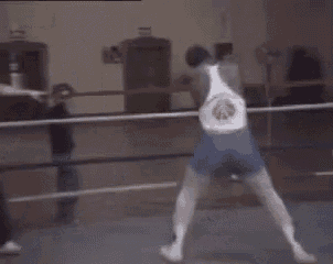 two men are boxing in a ring and one of them is wearing a tank top with a lion on it