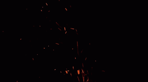 Fire Burning GIF - Fire Burning Ashes GIFs