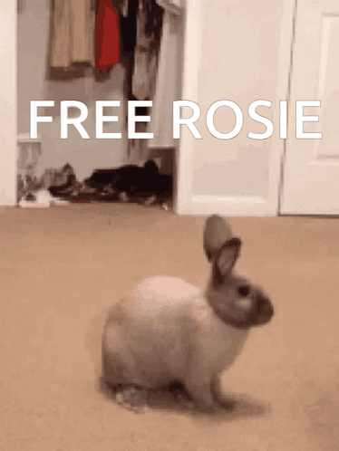 Rosie Larpcord GIF