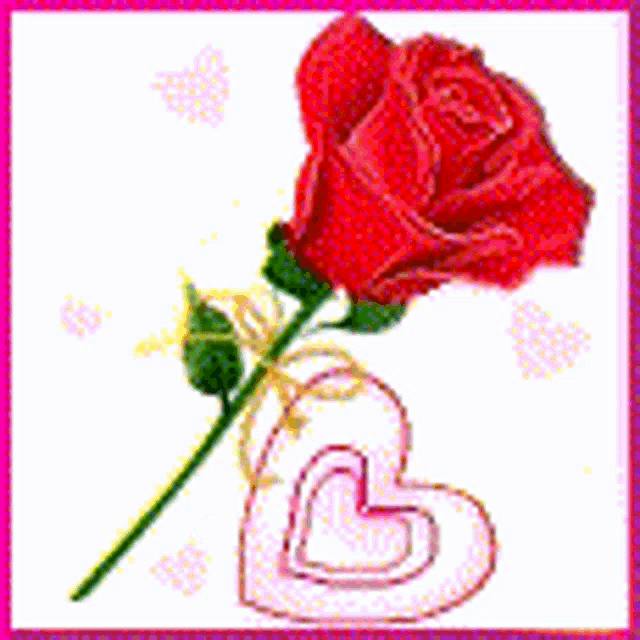 a red rose is sitting next to a red heart that says i love you