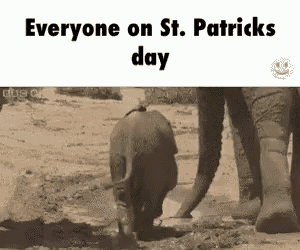 Lmao Ive Been There GIF - Lmao Ive Been There Drunk GIFs
