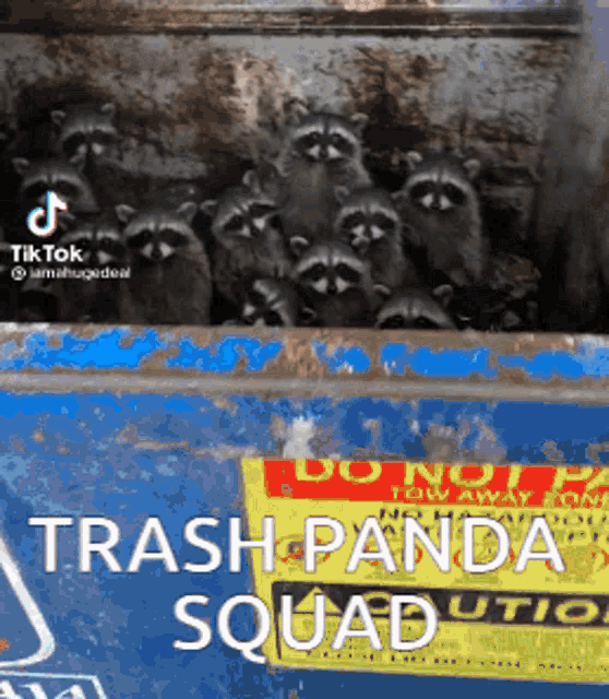 a bunch of raccoons in a dumpster with the words trash panda squad on it