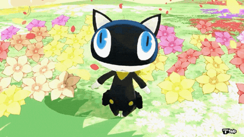 a cat with blue eyes is in a field of flowers