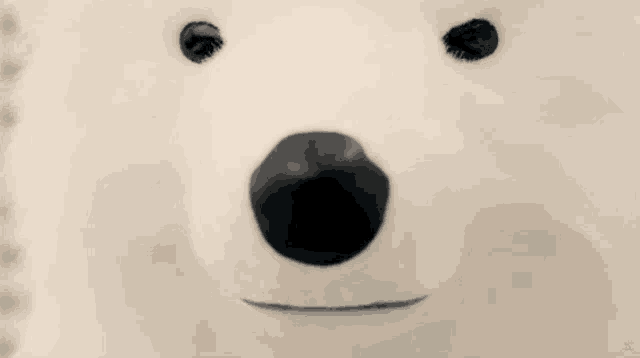 a close up of a polar bear 's face with a tear coming out of it