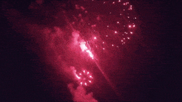 a fireworks display is going off in the dark sky