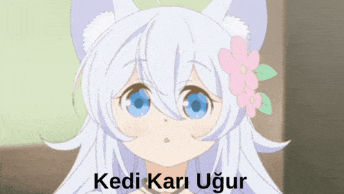 a picture of a girl with a flower in her hair and the words " kedi kar ugur " below her