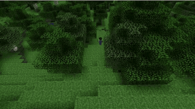 a video game called minecraft is being played