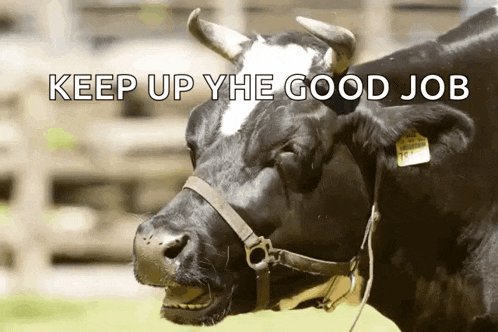 a black and white cow with the words " keep up the good job " below it