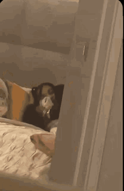 a dog is laying on top of a bed with a blanket on it .