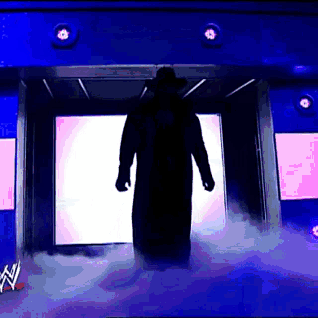 Undertaker 2007 GIF - Undertaker 2007 Entrance GIFs