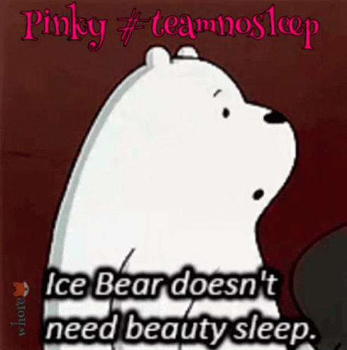Pinky No Sleep GIF - Pinky No Sleep Ice Bear GIFs