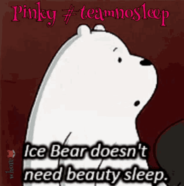 ice bear does n't need beauty sleep according to pinky #teamnosleep