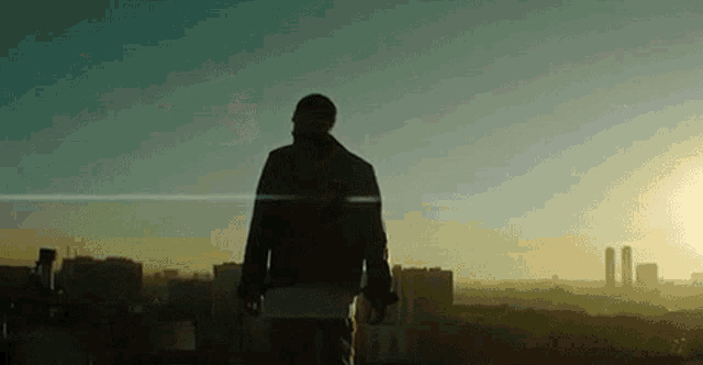 a man is standing on top of a building overlooking a city .