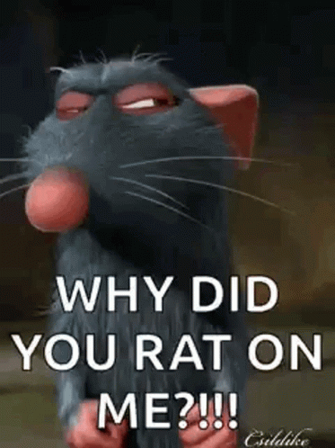 Ratatouille Remy GIF - Ratatouille Remy Why Did You Rat On Me GIFs