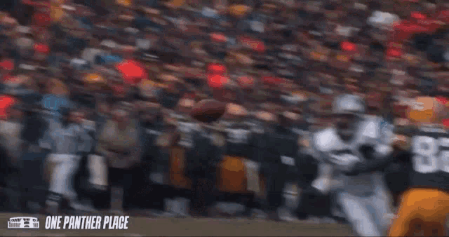 a panthers player runs with the ball during a game