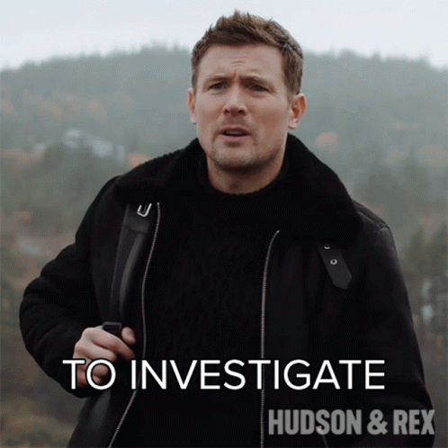 To Investigate Charlie Hudson GIF - To Investigate Charlie Hudson Hudson And Rex GIFs