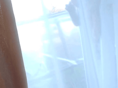 I Was Just In The Neighborhood And I Uh... GIF - Cat Stuck Blinds GIFs