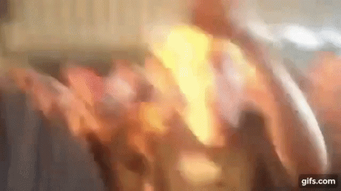 Cassoulet Lccad1 GIF - Cassoulet Lccad1 Party GIFs