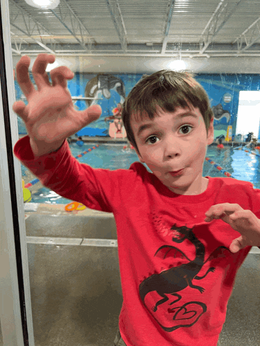 a young boy wearing a red shirt with a dragon on it stands in front of a swimming pool