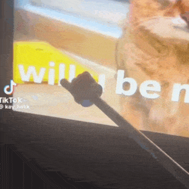 a tv screen shows a cat and the words will be n on it
