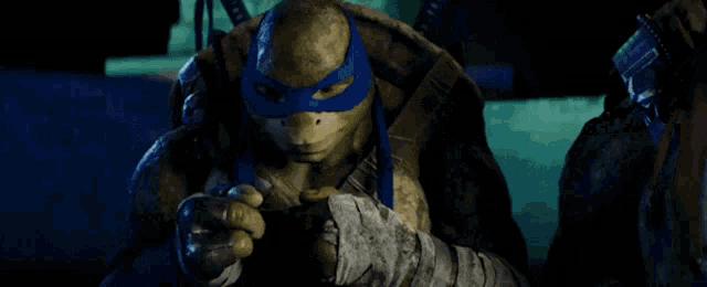 a turtle with a blue mask on his face