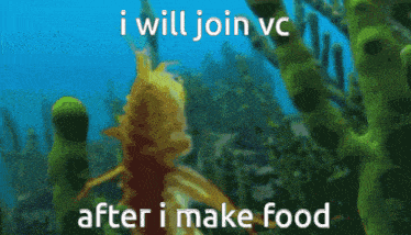 a cartoon of a seahorse with the words i will join vc after i make food