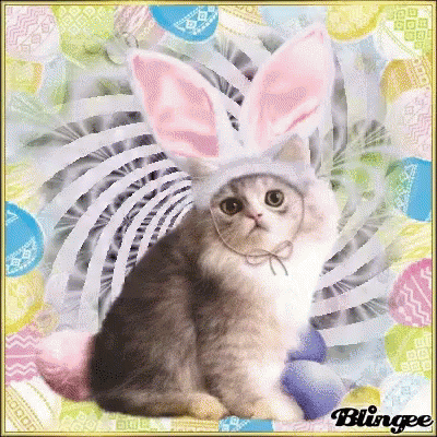 Happy Easter Cat GIF - Happy Easter Cat Bunny GIFs