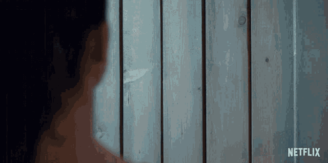 a person standing in front of a wooden wall with netflix written on the bottom right