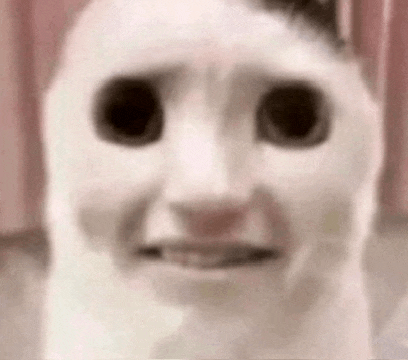 a close up of a cat 's face with a very strange look on its face .