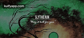 a picture of slytherin with the words " they 'd kill for you " on the bottom