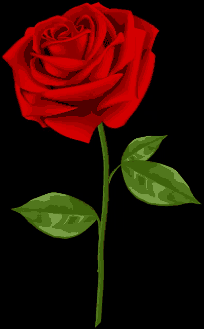 a single red rose with green leaves is against a black background