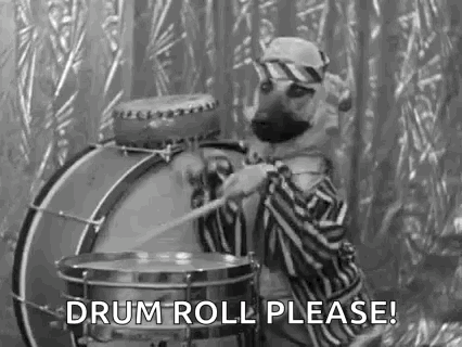 drums-dogplayingsnaredrum.gif