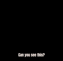a dog and a cat are looking at the camera with the words " can you see this " in the corner