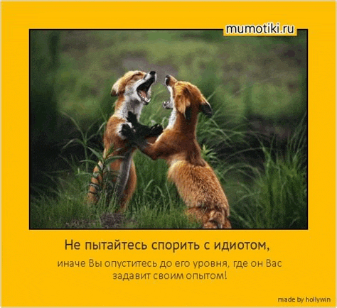 two foxes are standing in the grass with a caption in a foreign language