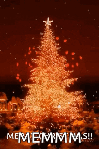 a christmas tree is lit up at night with a star on top of it .