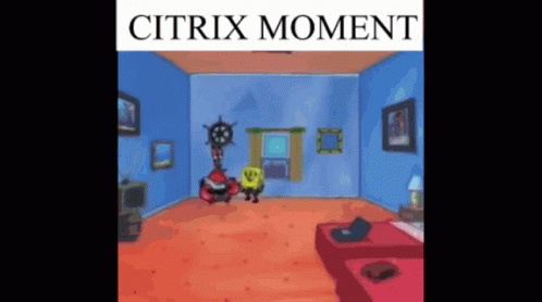 Omg Citrix Citrix Bot GIF - Omg Citrix Citrix Bot Citrix Sucks GIFs