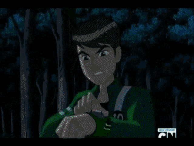 a green background with a cn logo on it