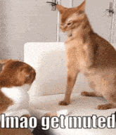 two cats are sitting on a couch and one of them says lmao get muted
