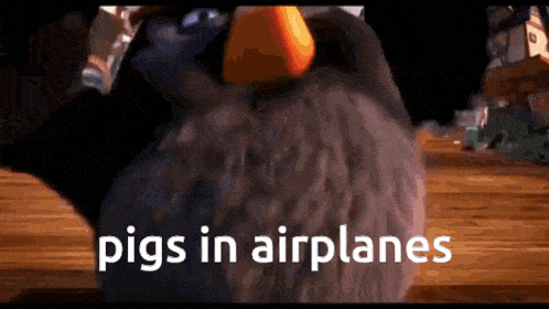 a cartoon bird with the words pigs in airplanes written on it