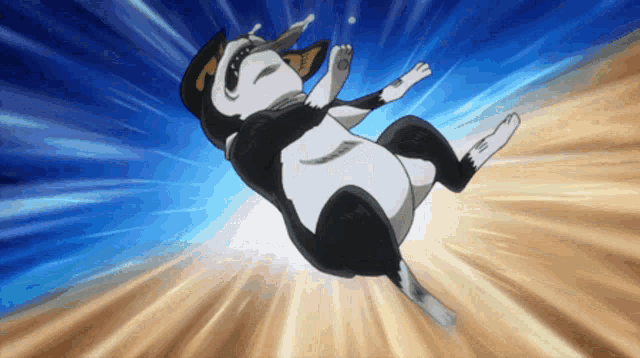 a black and white dog is falling in the air with its mouth open