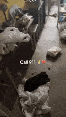 a picture of a messy room with the words call 911 on the bottom