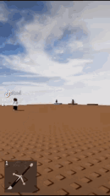 a person is standing in the middle of a desert in a video game with tiktok written on the bottom