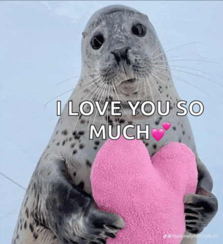 a seal holding a pink heart with the words " i love you so much " above it