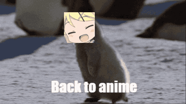 a penguin with a picture of a girl on its head and the words " back to anime " below it