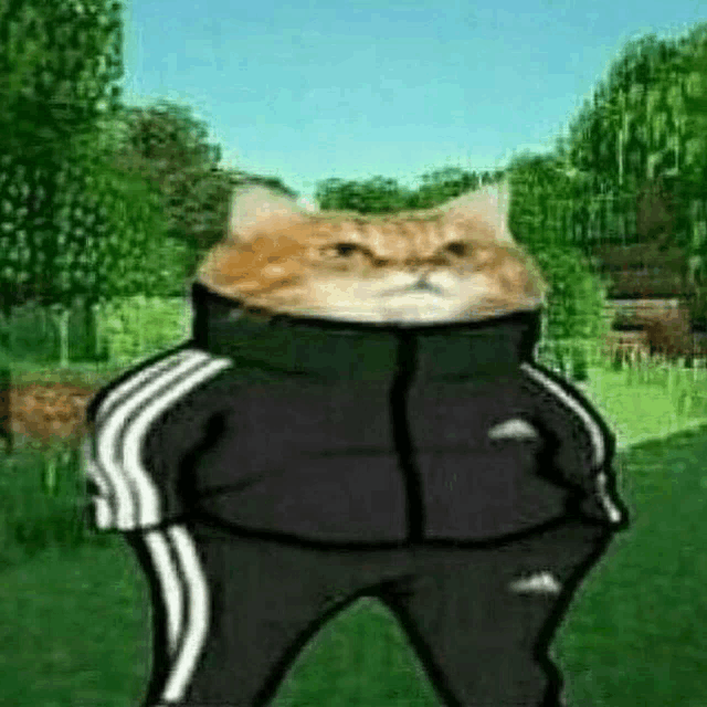 a cat wearing a black jacket and pants is standing in a field .