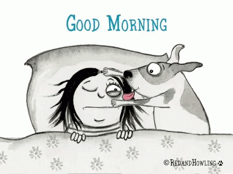 Goodmorning Dog GIF - Goodmorning Dog Lick GIFs