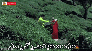 a man and a woman are standing in a field of plants with a caption in telugu