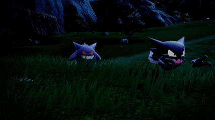a purple pokemon and a black pokemon are standing in the grass at night